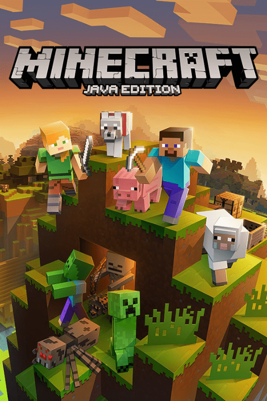 Minecraft (Java & Bedrock) – Online